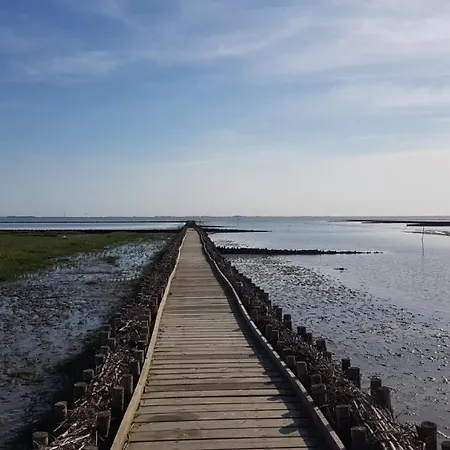 Kemping Wohnmobilstellplatz Hemenswarft An Der Nordsee - Meerblick
